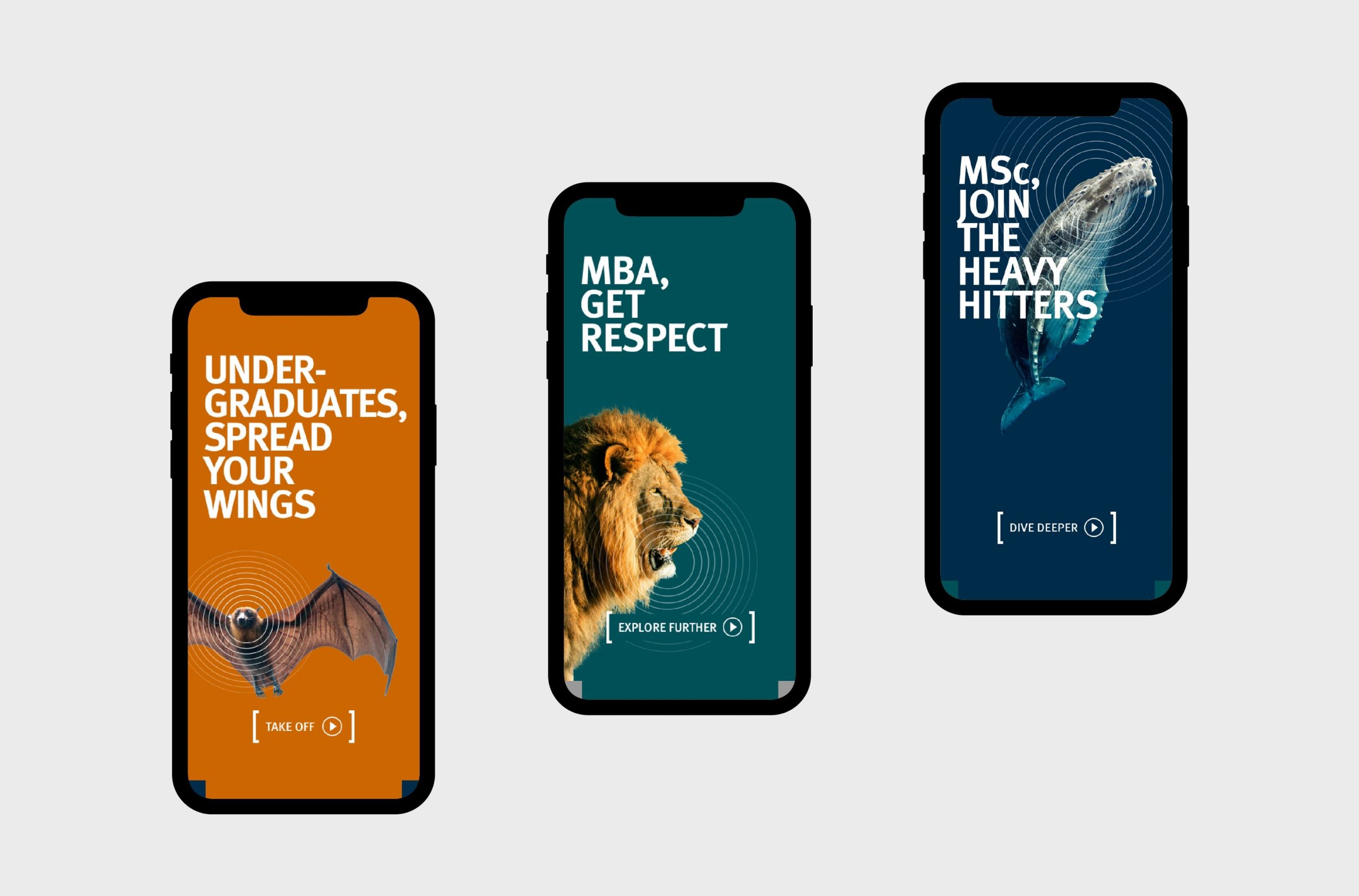 Cass Business School, microsite, on three mobile phones. Bat 'Undergraduates, spread your wings', Lion 'MBA, get respect', Whale MSc, join the heavy hitters'