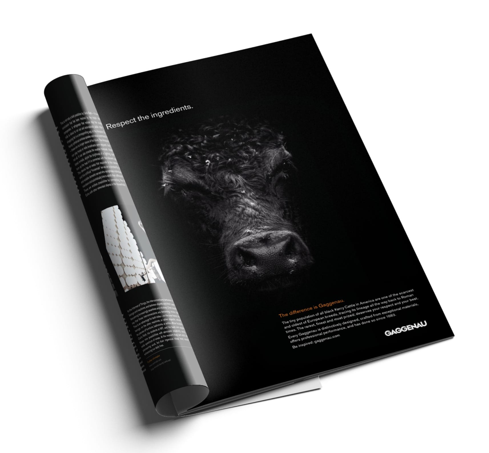 Respectd by Gaggenau advert of cow on black background, 'Respect the ingredients'