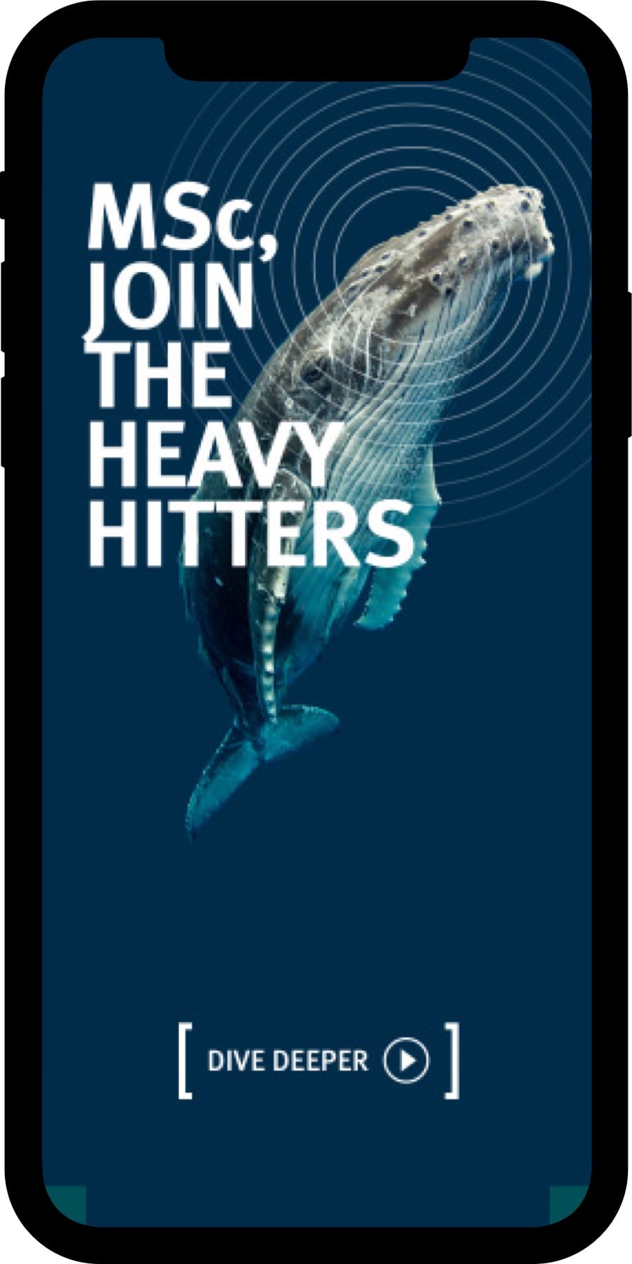 Cass microsite, the whale 'MSc, join the heavy hitters', on a mobile phone