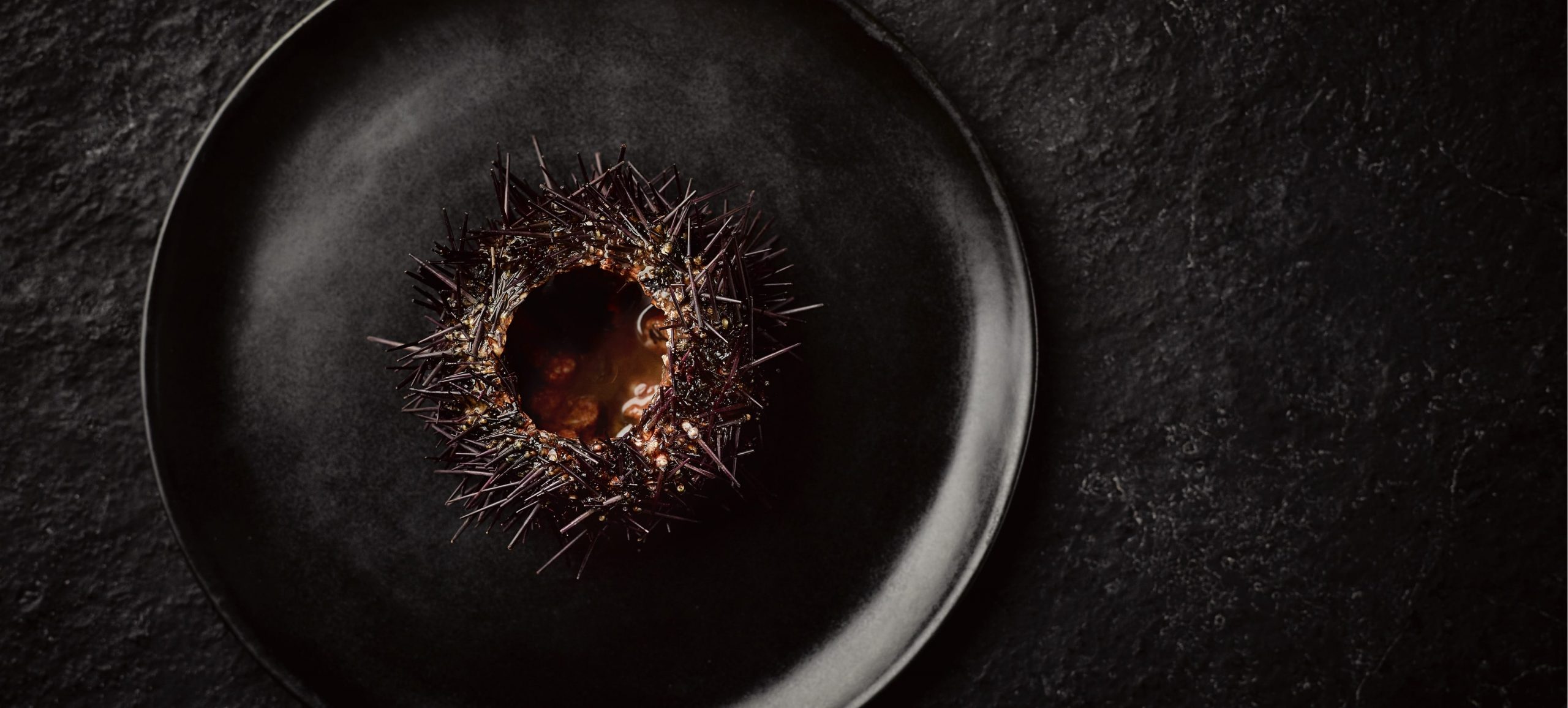 Gaggenau, sea urchin on black plate