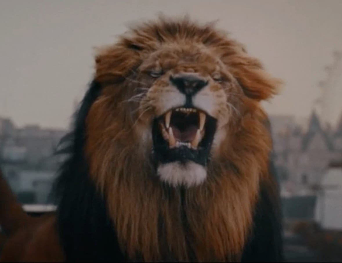 Cass Business School, Extraordinary calling film, a lion roaring.